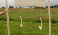 41