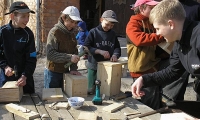 pilt 263
