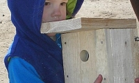 pilt 287