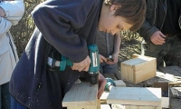 pilt 365