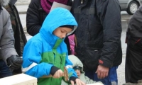DSCN0371