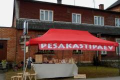 Pesakastipäev 2016