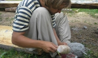 Picture 2775