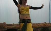 Picture 2788