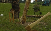 Picture 2823