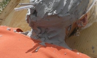 Picture 2864
