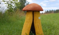 OTS_00686241