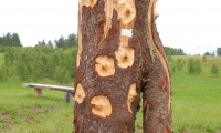 OTS_00756248