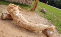 OTS_00816254