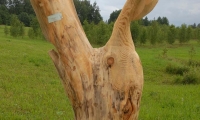 OTS_01426315