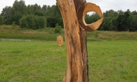 OTS_01506323