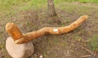 OTS_01996372