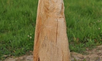 D3X_2971_copy