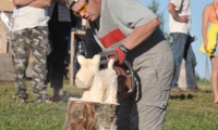 OTS_4631_01
