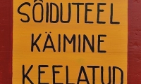 95